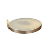 Imán 100mm x 10mm Neodimio Circular Gigante Súper Potente 13,500 Gauss