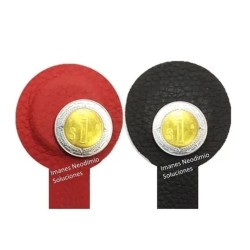 Imán 25mm x 3mm Neodimio Forrado Para Biomagnetismo