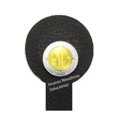 Imán 25mm x 3mm Neodimio Forrado Para Biomagnetismo