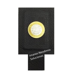 Imán 60mm x 40mm x 5mm Neodimio Forrado Para Biomagnetismo