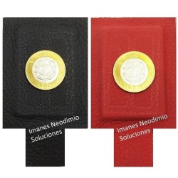 Imán 60mm x 40mm x 5mm Neodimio Forrado Para Biomagnetismo